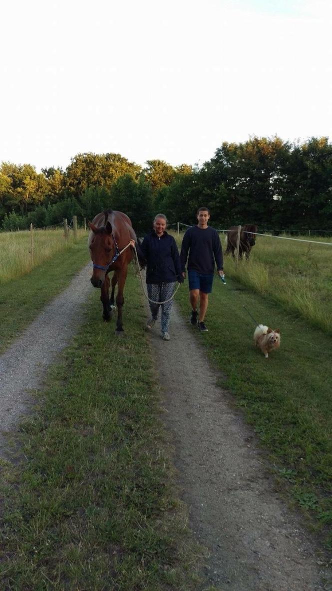 Traver Cæcar billede 18