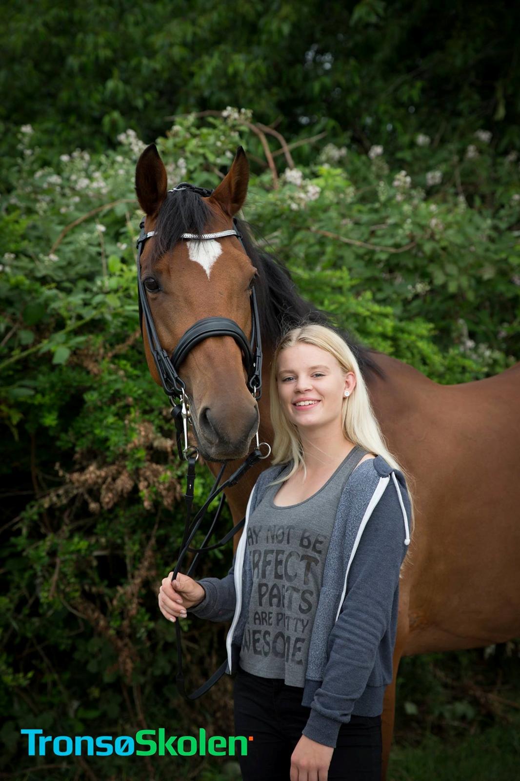 Dansk Varmblod Schiva billede 1
