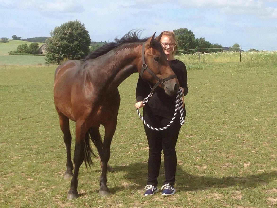 Anden særlig race Fibiger's Påø Laszlo - Dagen jeg fik Lasse hjem <3 billede 5