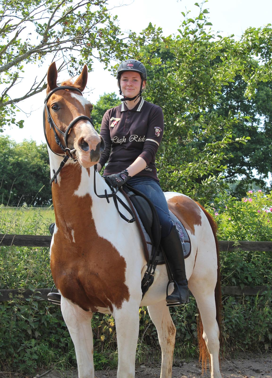 Pinto Rts-elegance india billede 12