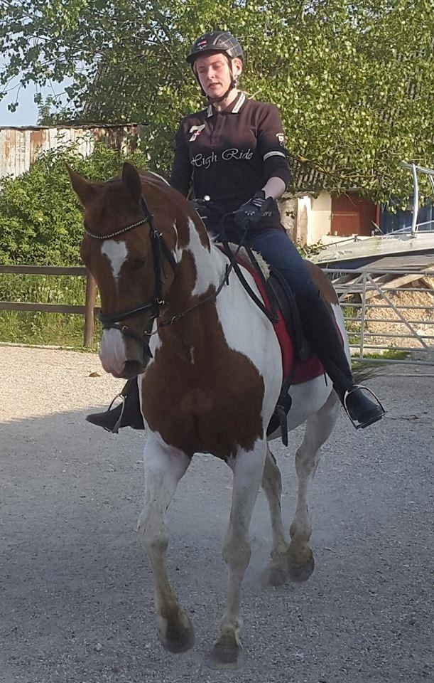 Pinto Rts-elegance india billede 13