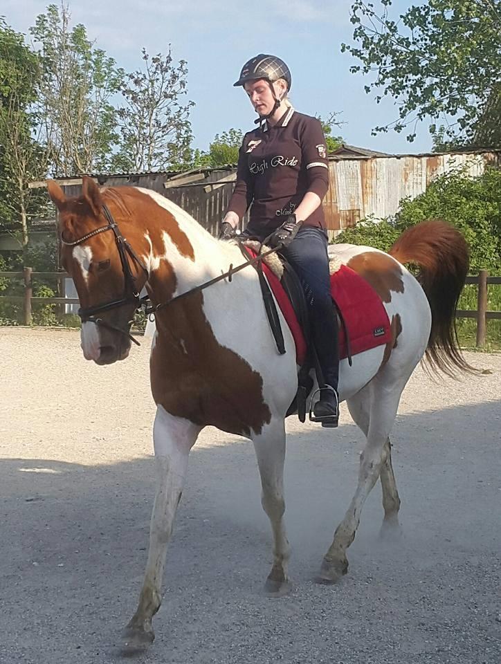 Pinto Rts-elegance india billede 9