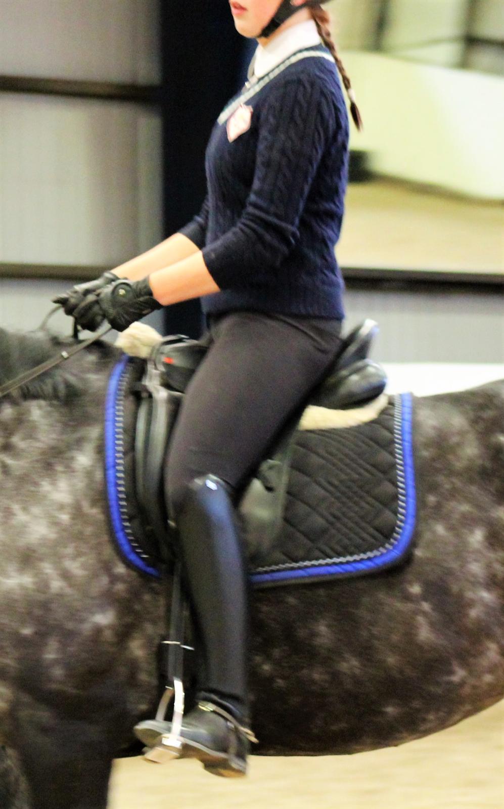 Dansk Varmblod Venita højvang billede 13