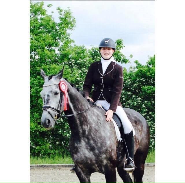 Dansk Varmblod Venita højvang billede 3