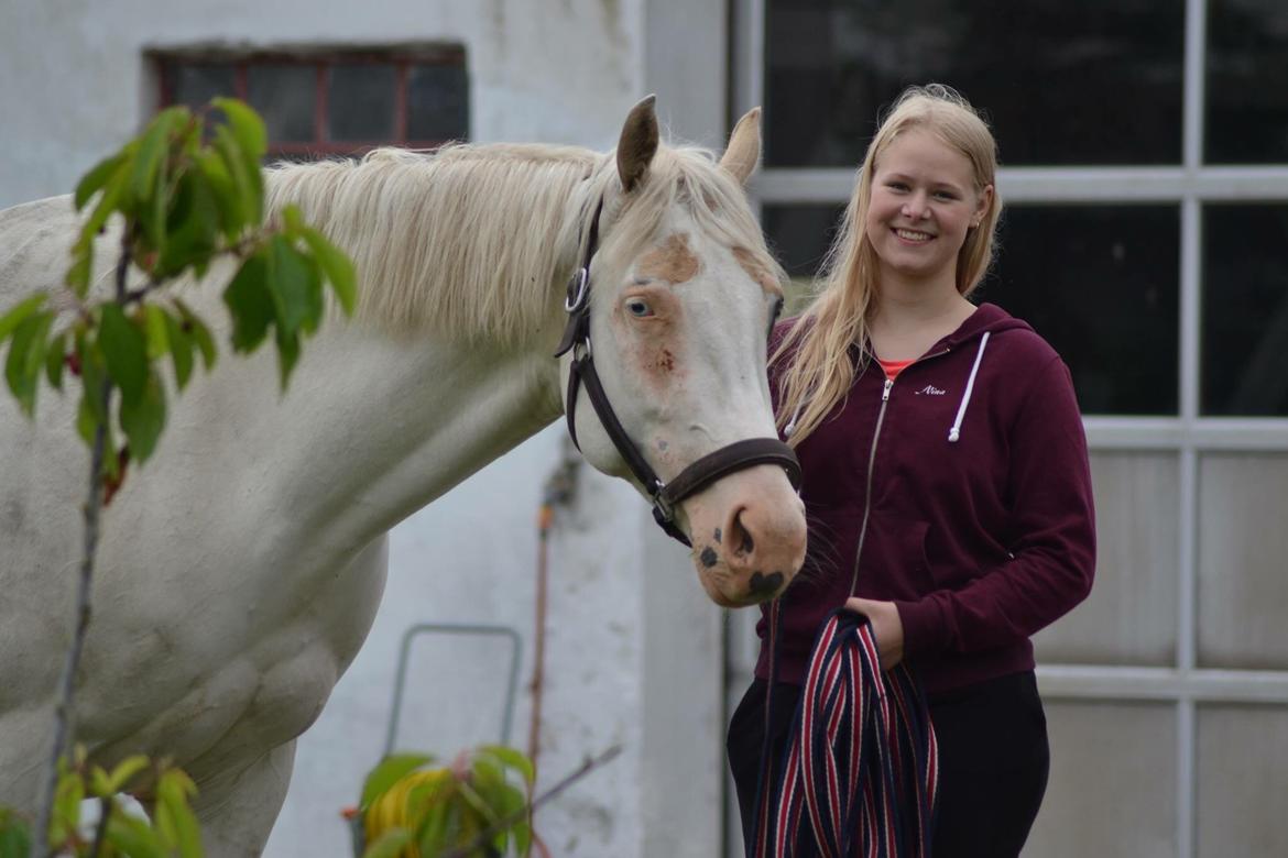 Paint CW Snow Qween billede 3