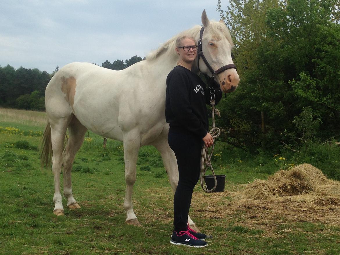 Paint CW Snow Qween billede 5