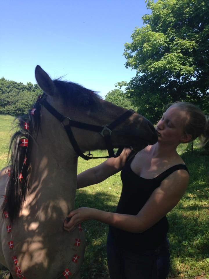 Anden særlig race Sukinox Her kommer jeg *Kalle* billede 29