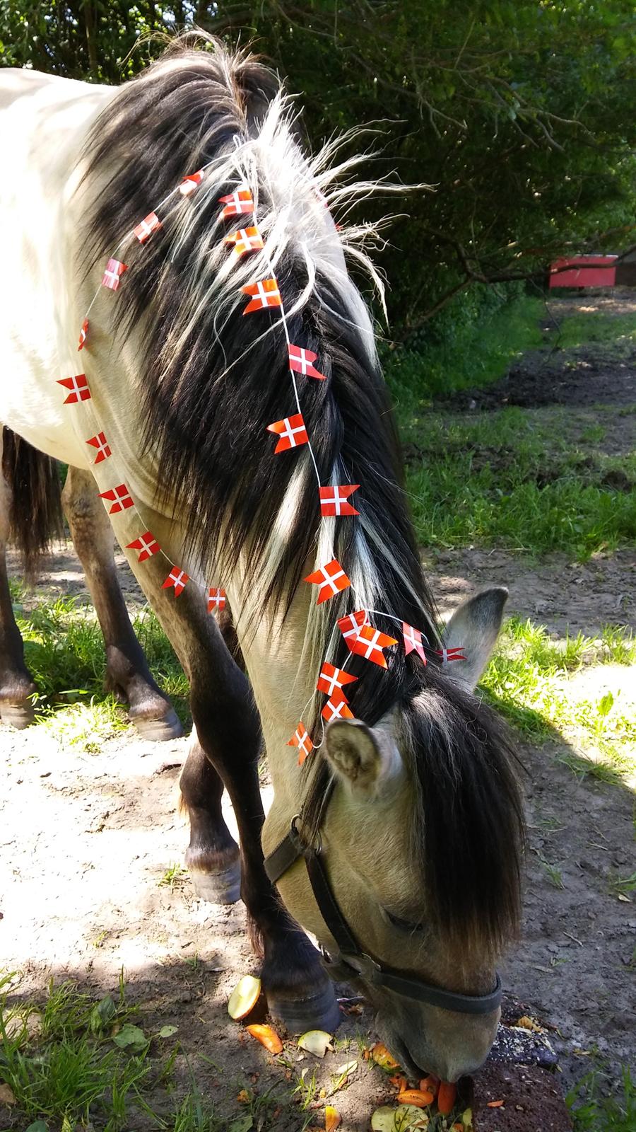Anden særlig race Sukinox Her kommer jeg *Kalle* billede 32