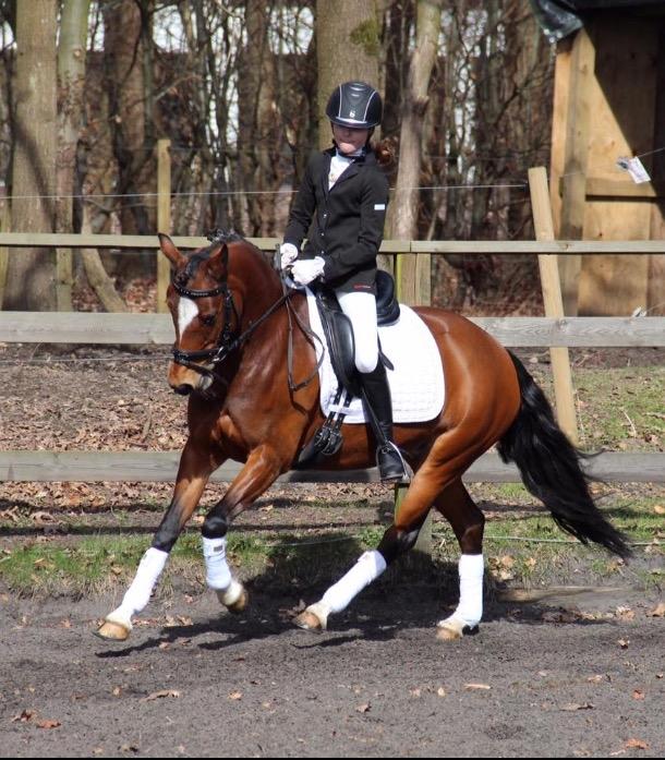 Anden særlig race Constance (kaldenavn Karma) billede 9