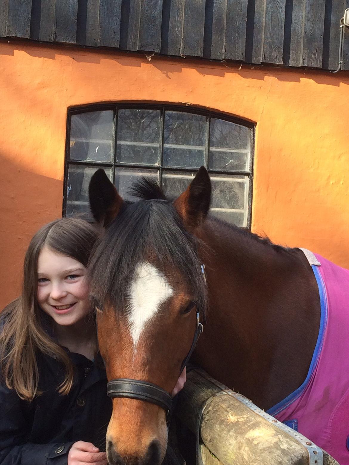 Anden særlig race Constance (kaldenavn Karma) billede 12