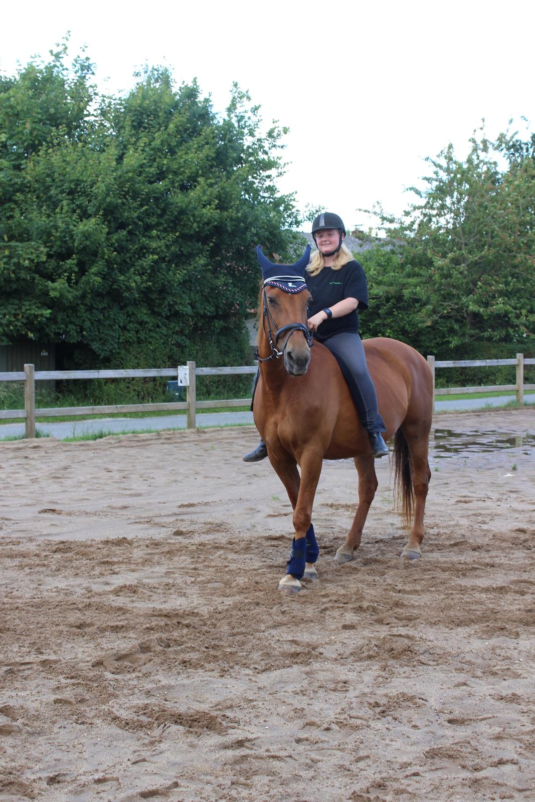 Anden særlig race Mulle billede 14