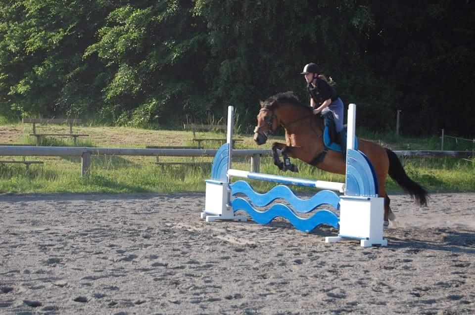 DSP Beauty billede 18