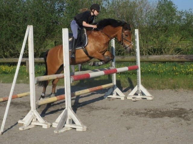 DSP Beauty billede 19