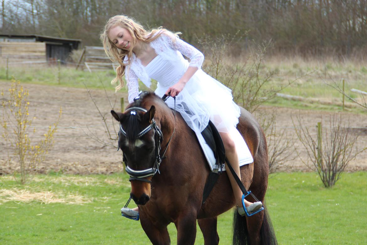 DSP Præst's zedan billede 17