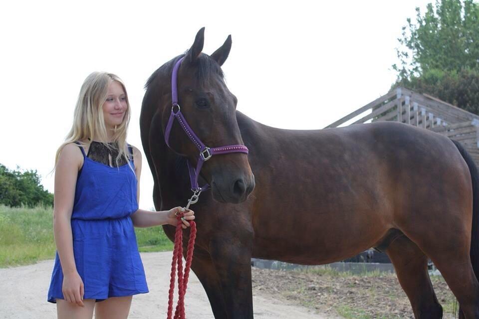 Traver Ideal Ørbæk billede 1