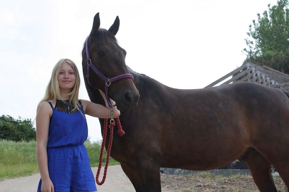Traver Ideal Ørbæk billede 2
