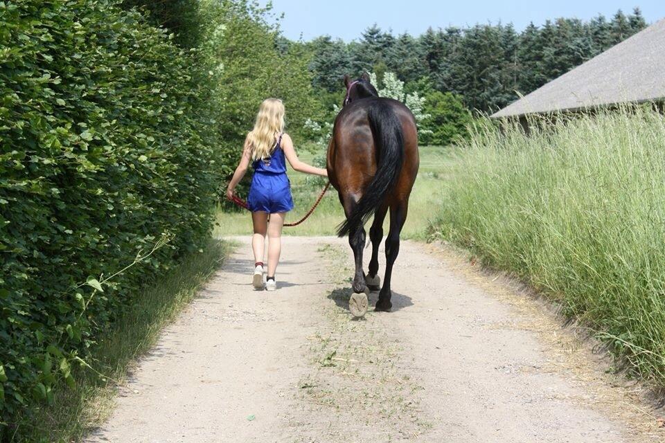 Traver Ideal Ørbæk billede 9