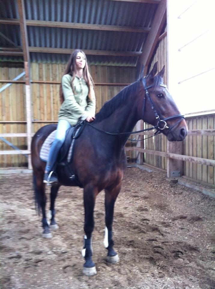 Traver Ideal Ørbæk billede 3