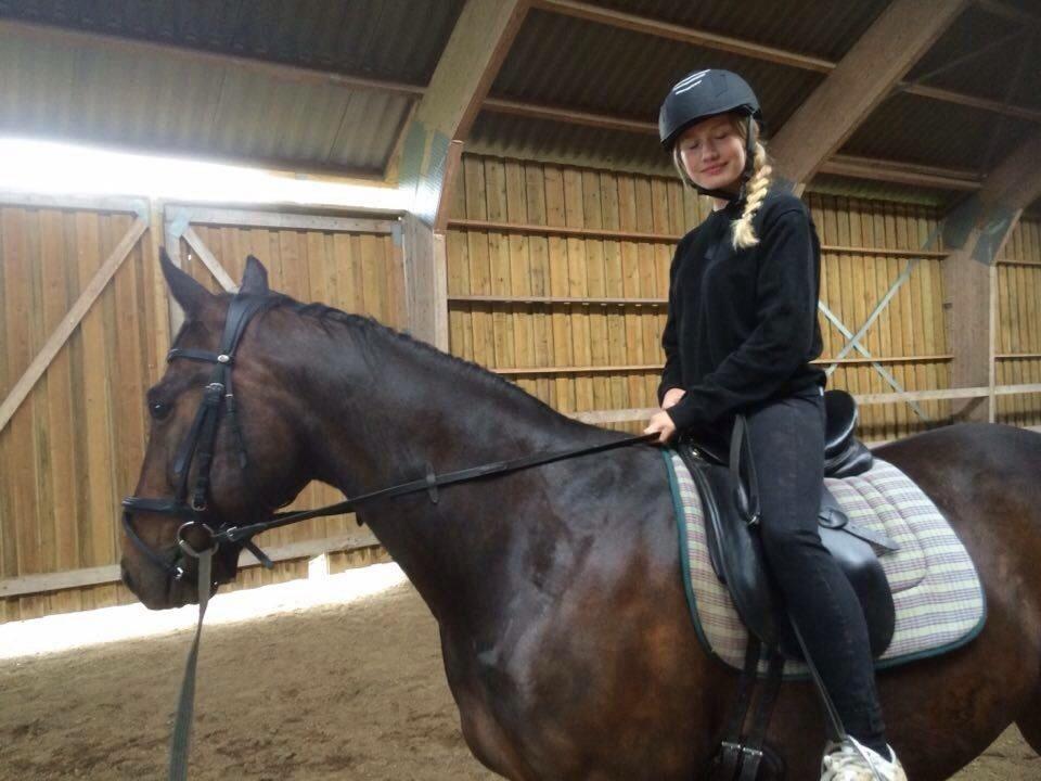 Traver Ideal Ørbæk billede 6