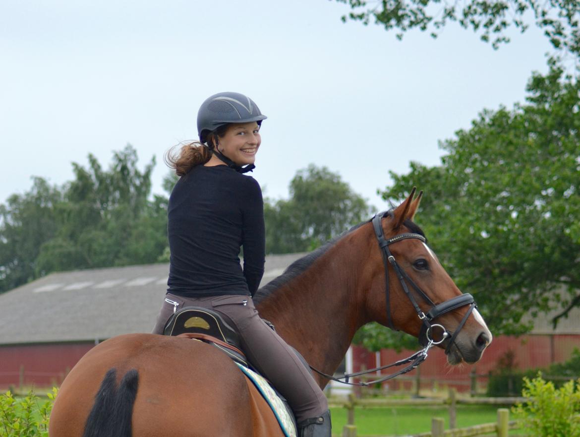 Oldenborg Rosenhavens Flora - Juni 2016 billede 4