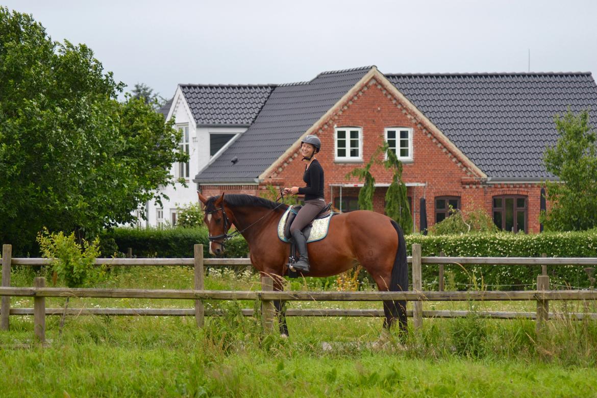 Oldenborg Rosenhavens Flora - Juni 2016 billede 17