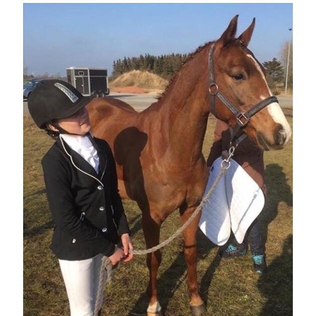 DSP hesselbjergs sunset billede 3