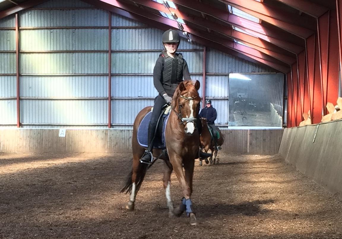 DSP hesselbjergs sunset billede 6