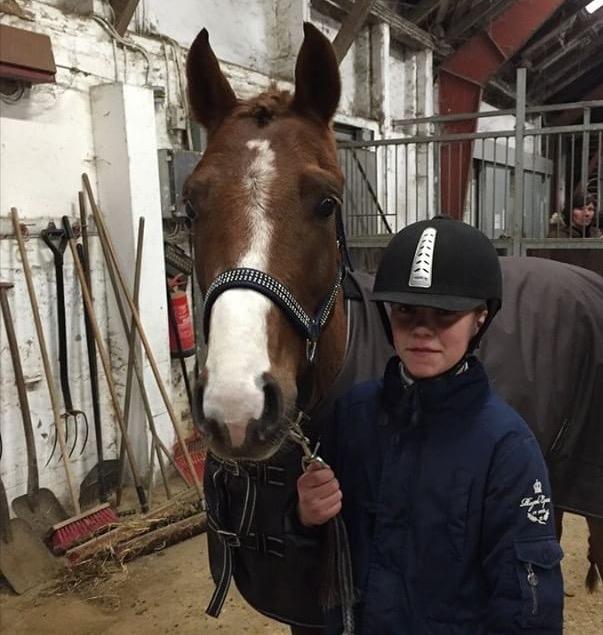 DSP hesselbjergs sunset billede 16