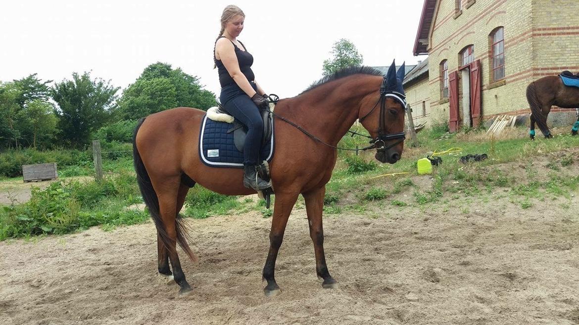 Traver Cæcar billede 21