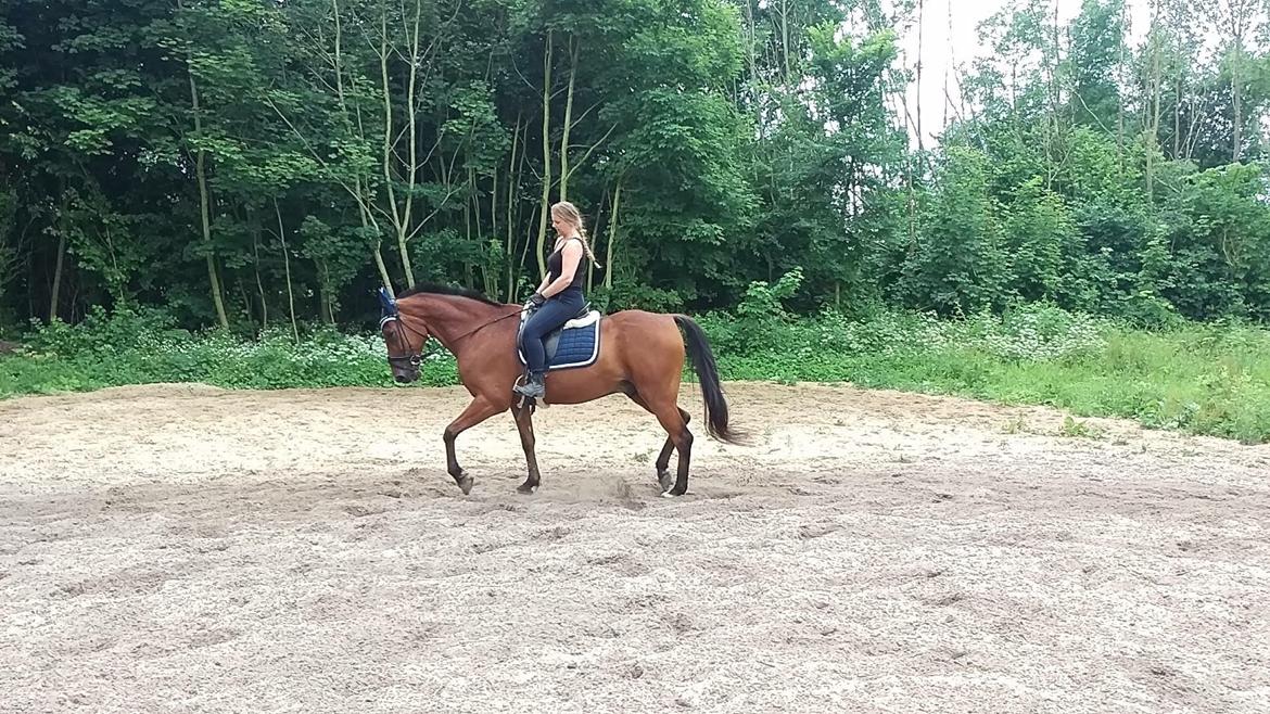 Traver Cæcar billede 22