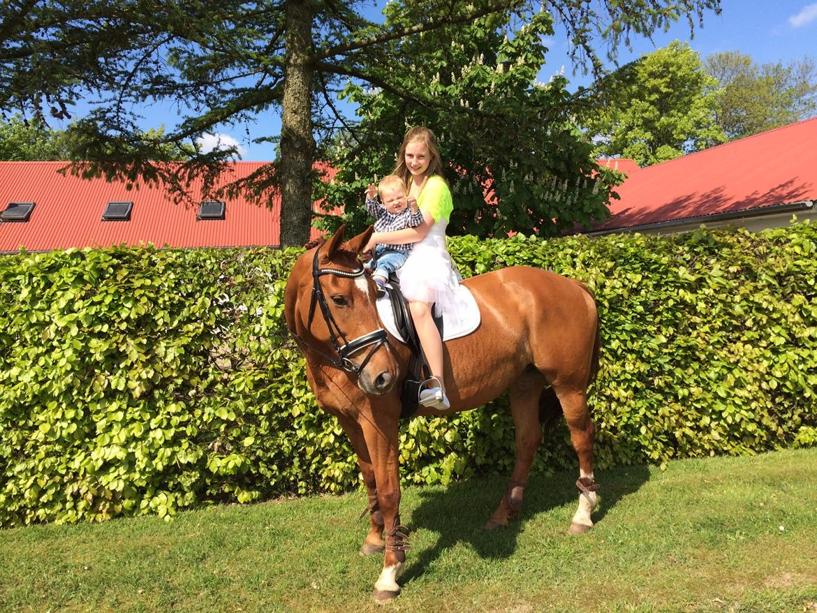 Anden særlig race Djibsi May - Konfi! Verdens bedste dag, med verdens bedste hest! så cool og dygtig <3  billede 5