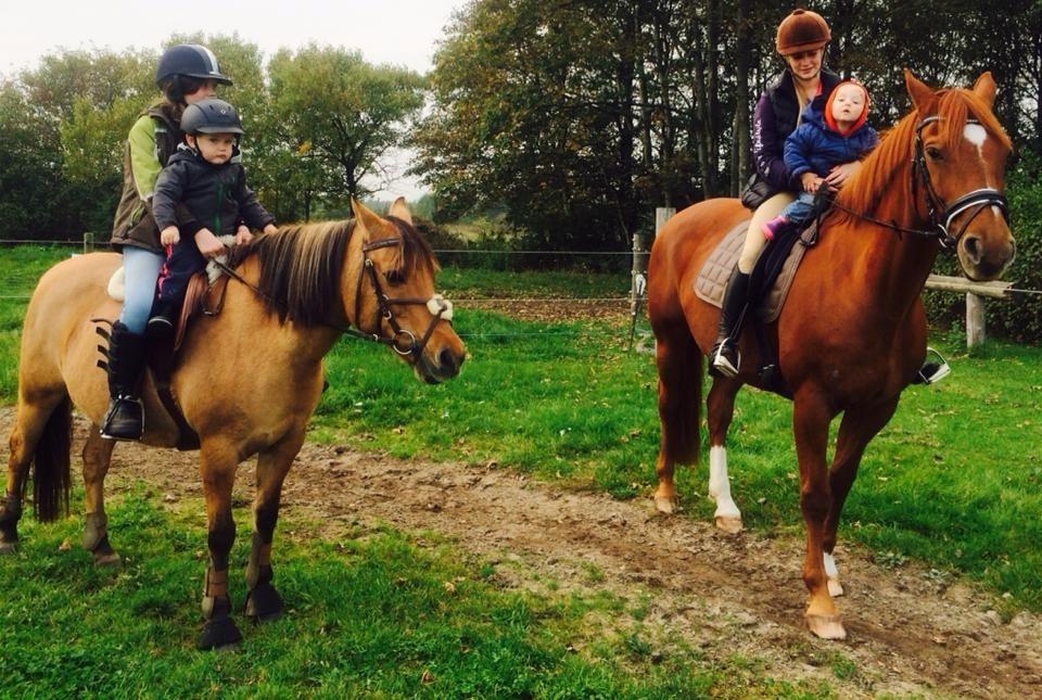 Anden særlig race Djibsi May - God undervisning, dejlige drenge og dygtige heste! :-D billede 7