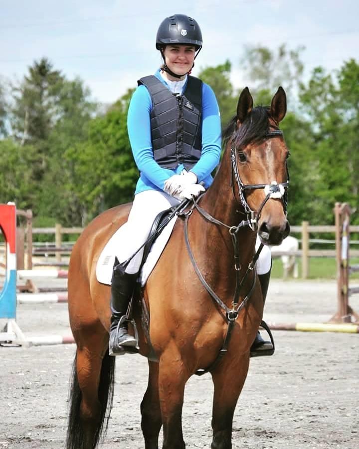 Dansk Varmblod Surely a star billede 3