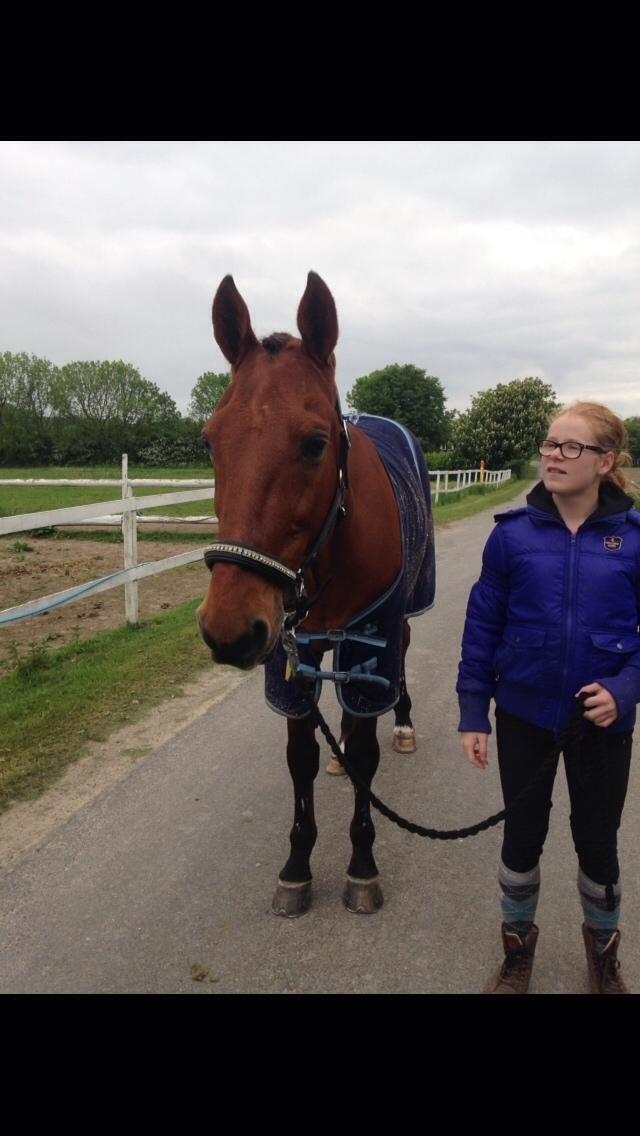 Traver Famous Skovbjerg billede 22