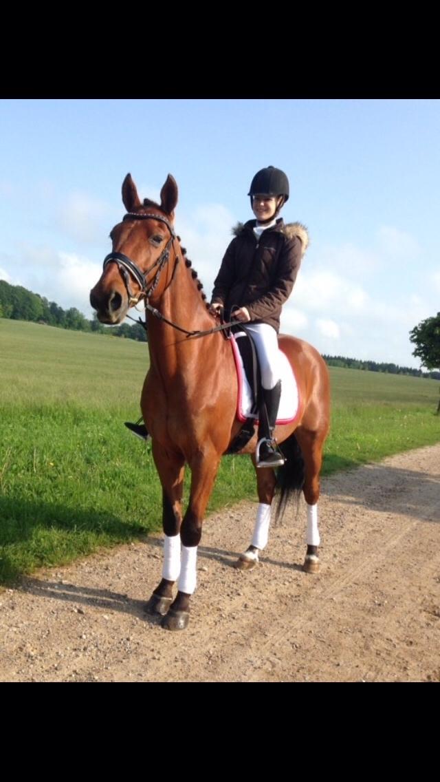 Traver Famous Skovbjerg billede 21