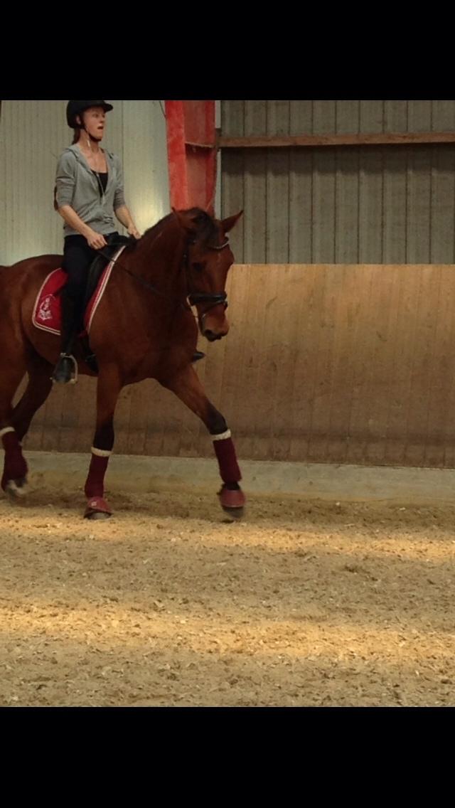 Traver Famous Skovbjerg billede 24