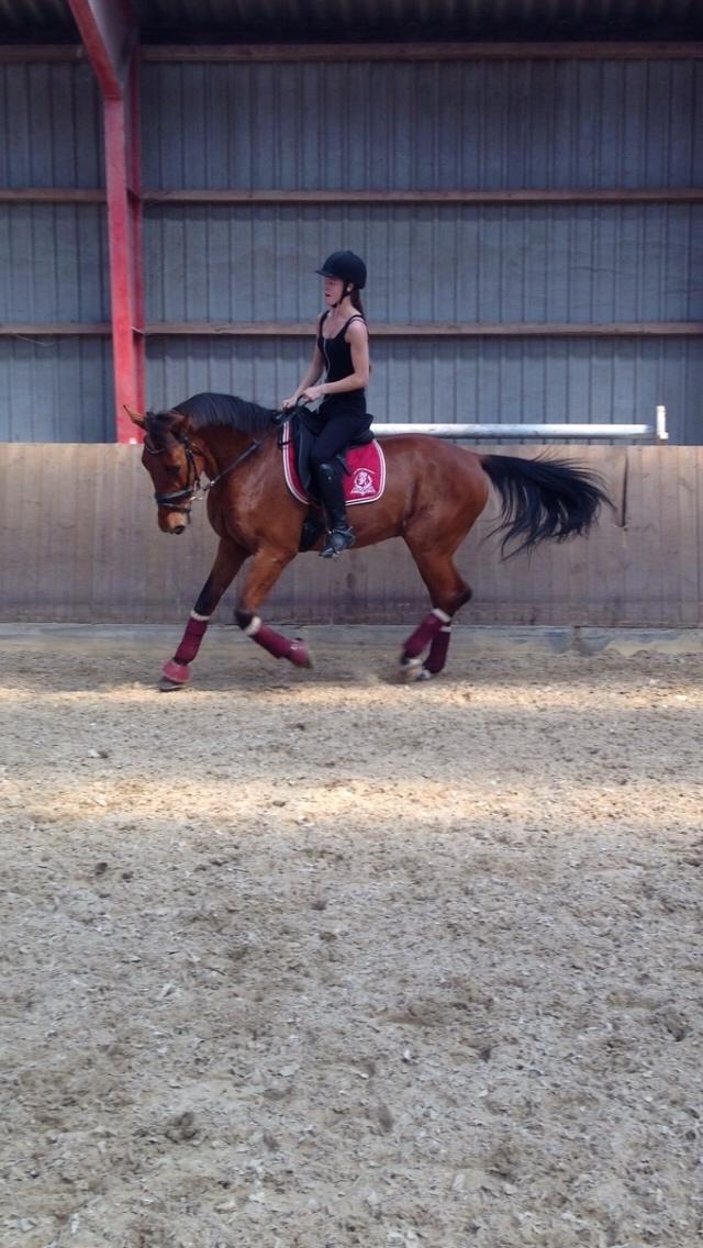 Traver Famous Skovbjerg billede 23