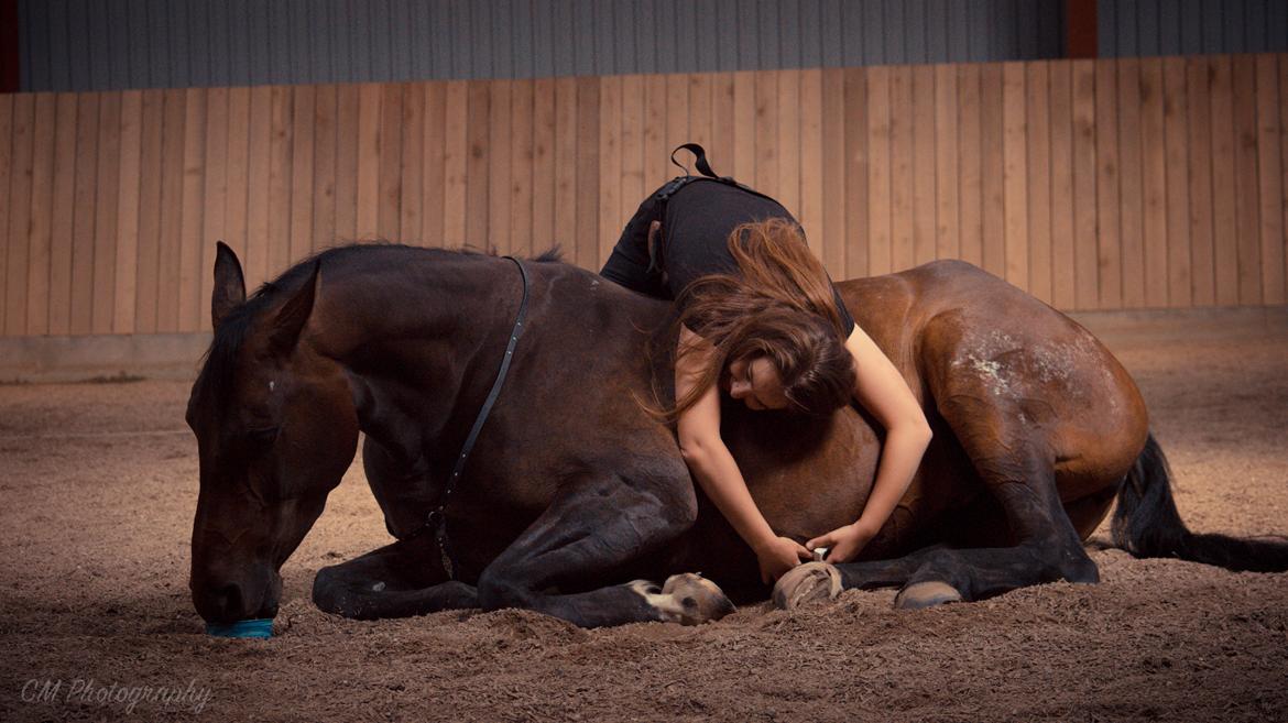 Anden særlig race | Madonna - ♥ Juni 2016. billede 13