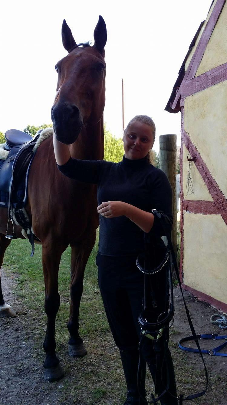 Traver Cæcar billede 24