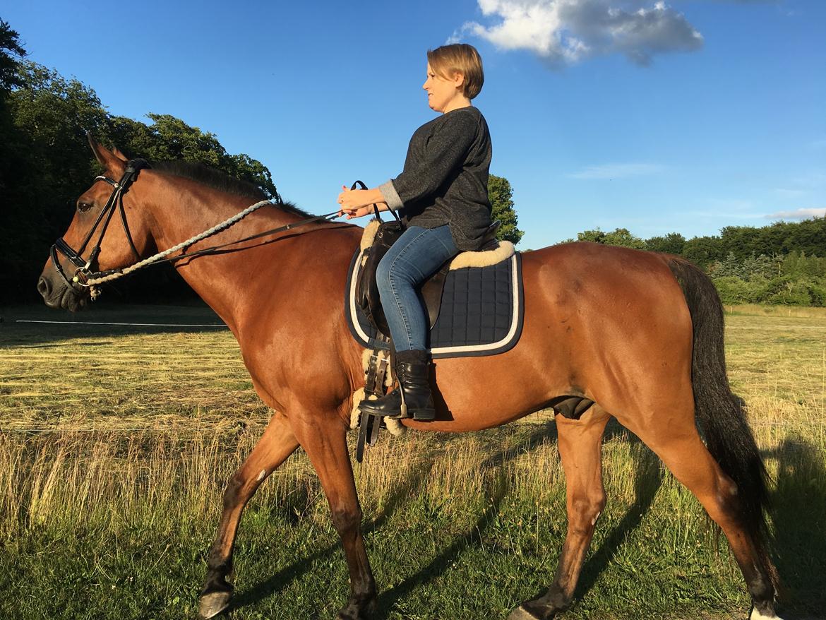 Traver Cæcar - Min mors første tur på Cæcar, han er en super hest!  billede 25