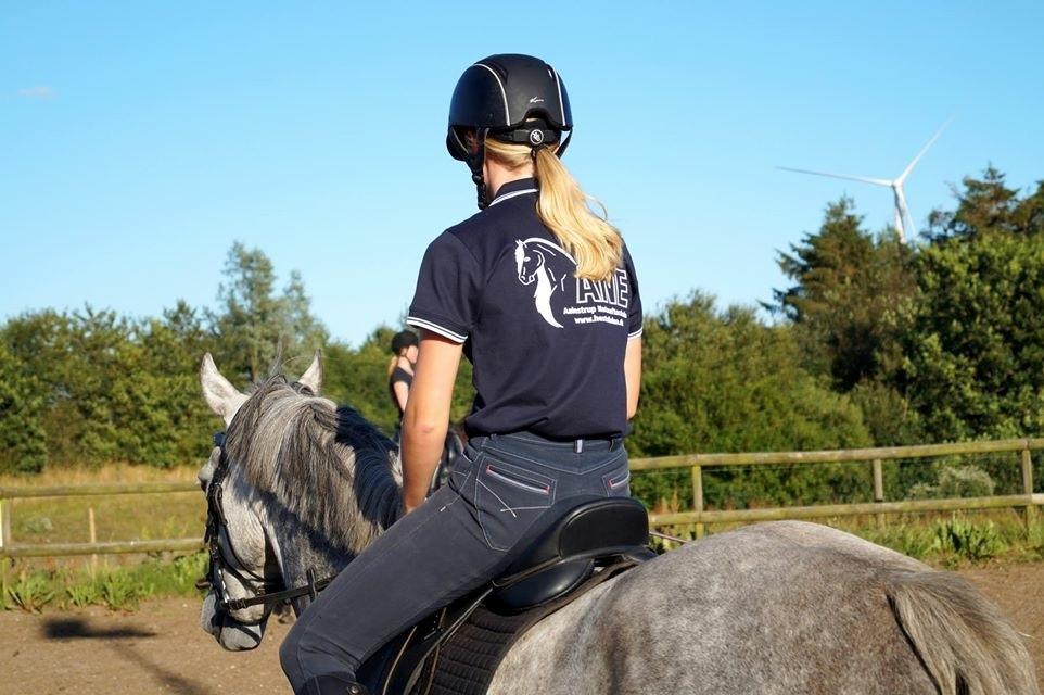 New Forest | Cavallino | - Tak for at have kigget med!  billede 16