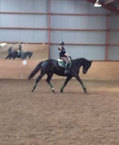 Dansk Varmblod Bjerresmindes Felippa - Dennis Holst kurses på Lundby Efterskole billede 9
