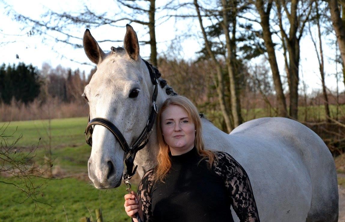 Anden særlig race Iversen's Malik "SOLGT" billede 8