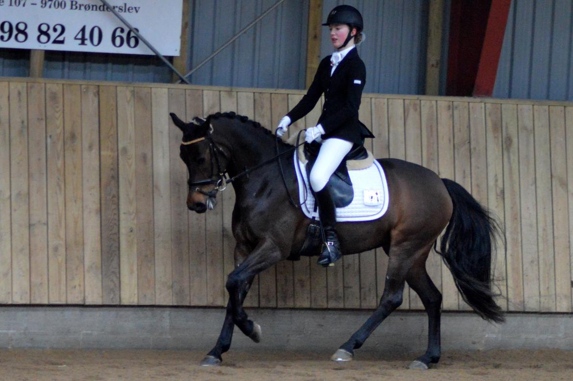 DSP Kjær's Calderina - C-stævne i Brønderslev LA2 billede 12