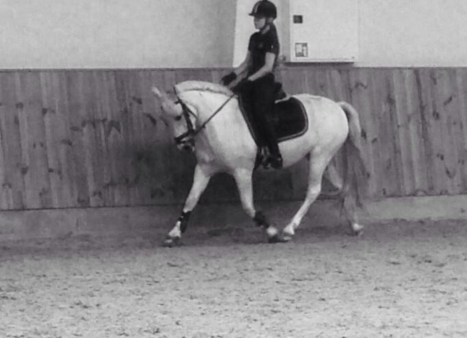 Anden særlig race Torpegaards Maddy billede 7