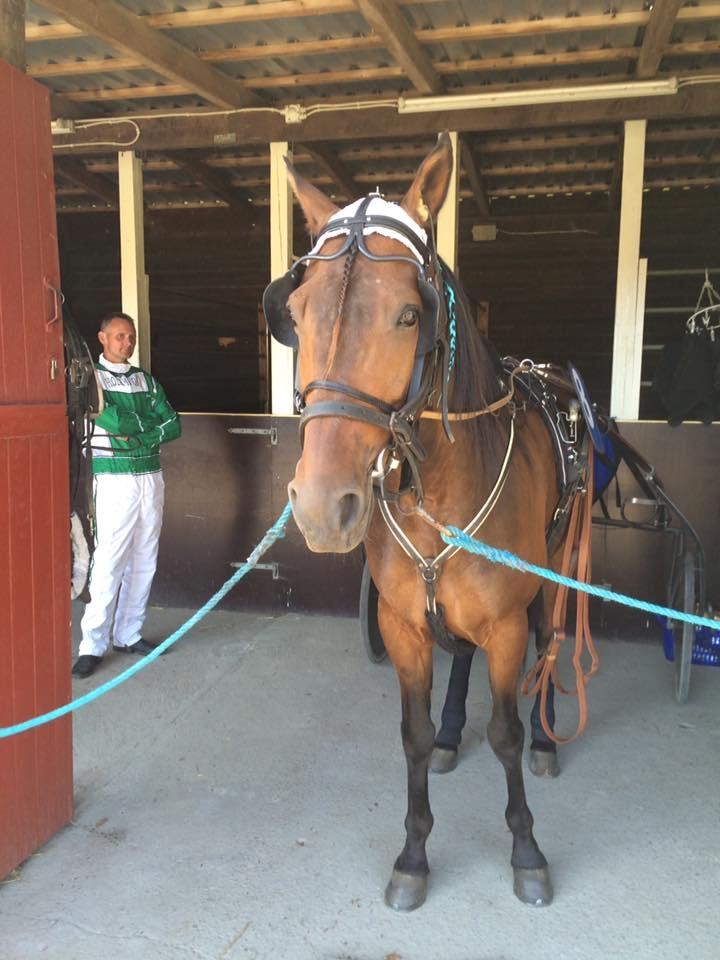 Traver RedFord billede 10