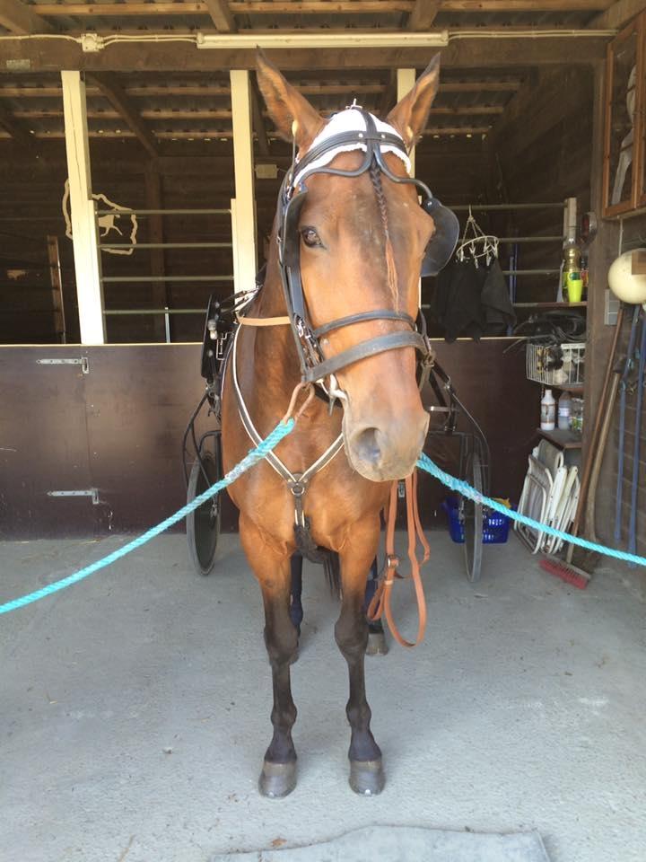 Traver RedFord billede 12