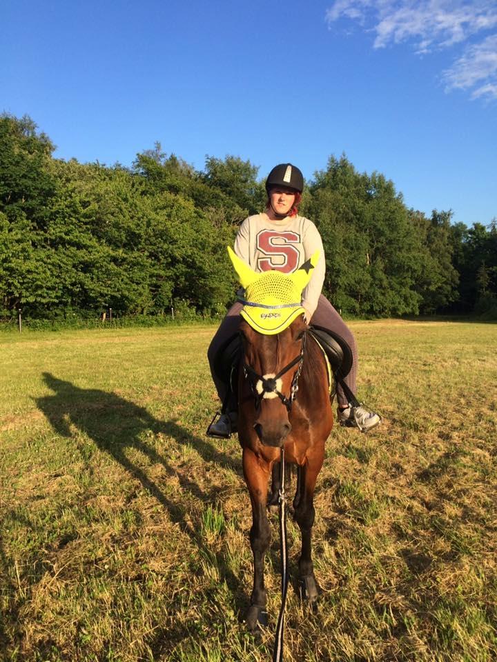 Traver RedFord billede 15