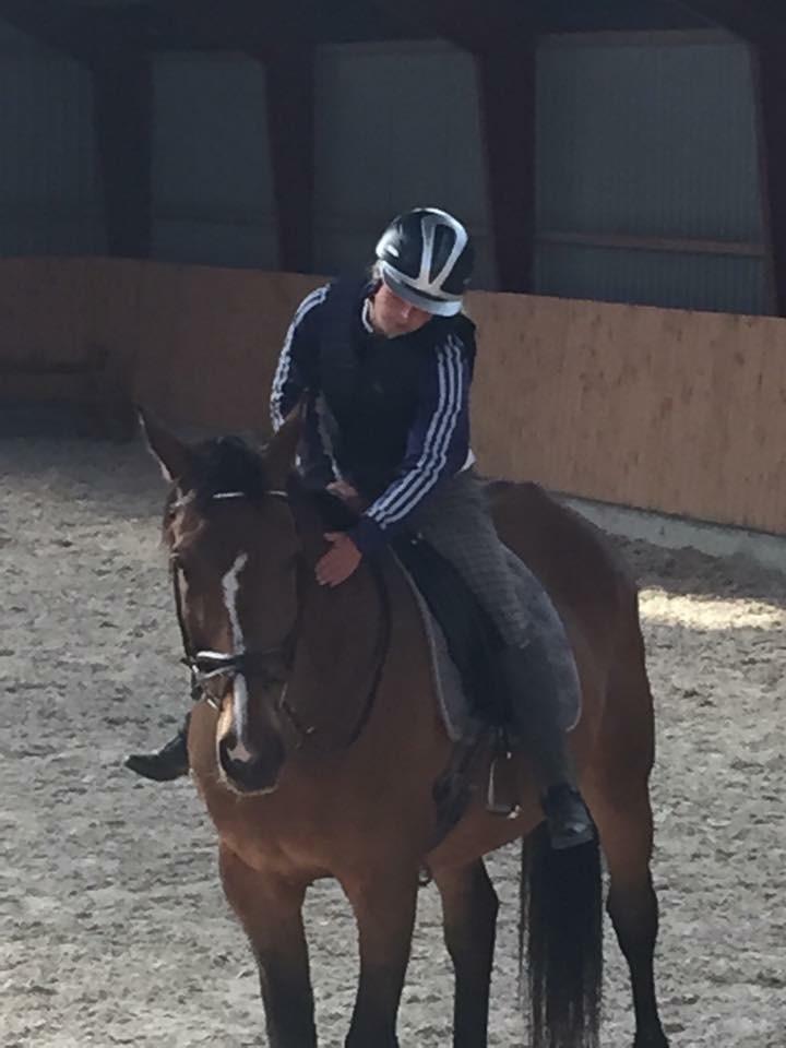 Dansk Varmblod Lancier - Første gang jeg sad på ryggen af ham billede 1