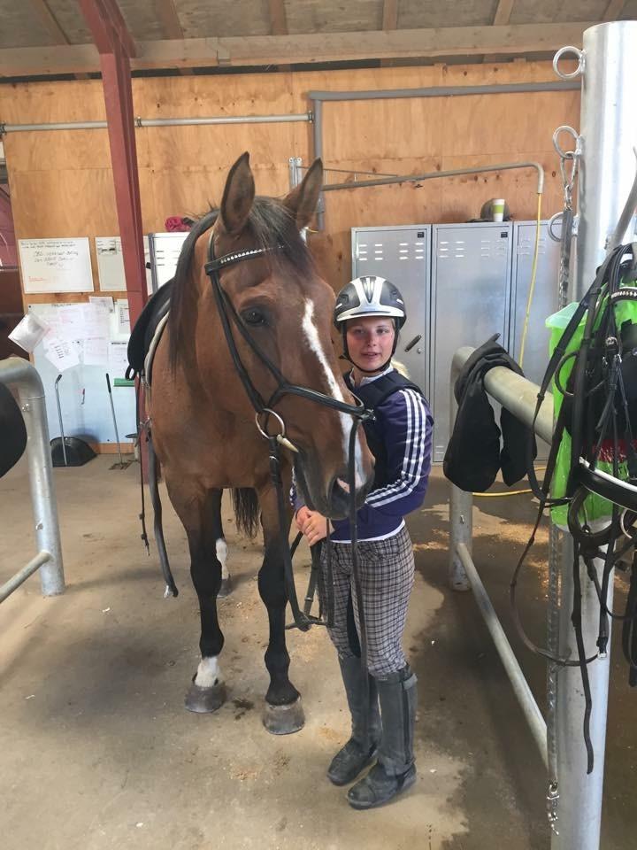 Dansk Varmblod Lancier - Første gang jeg red på ham billede 2